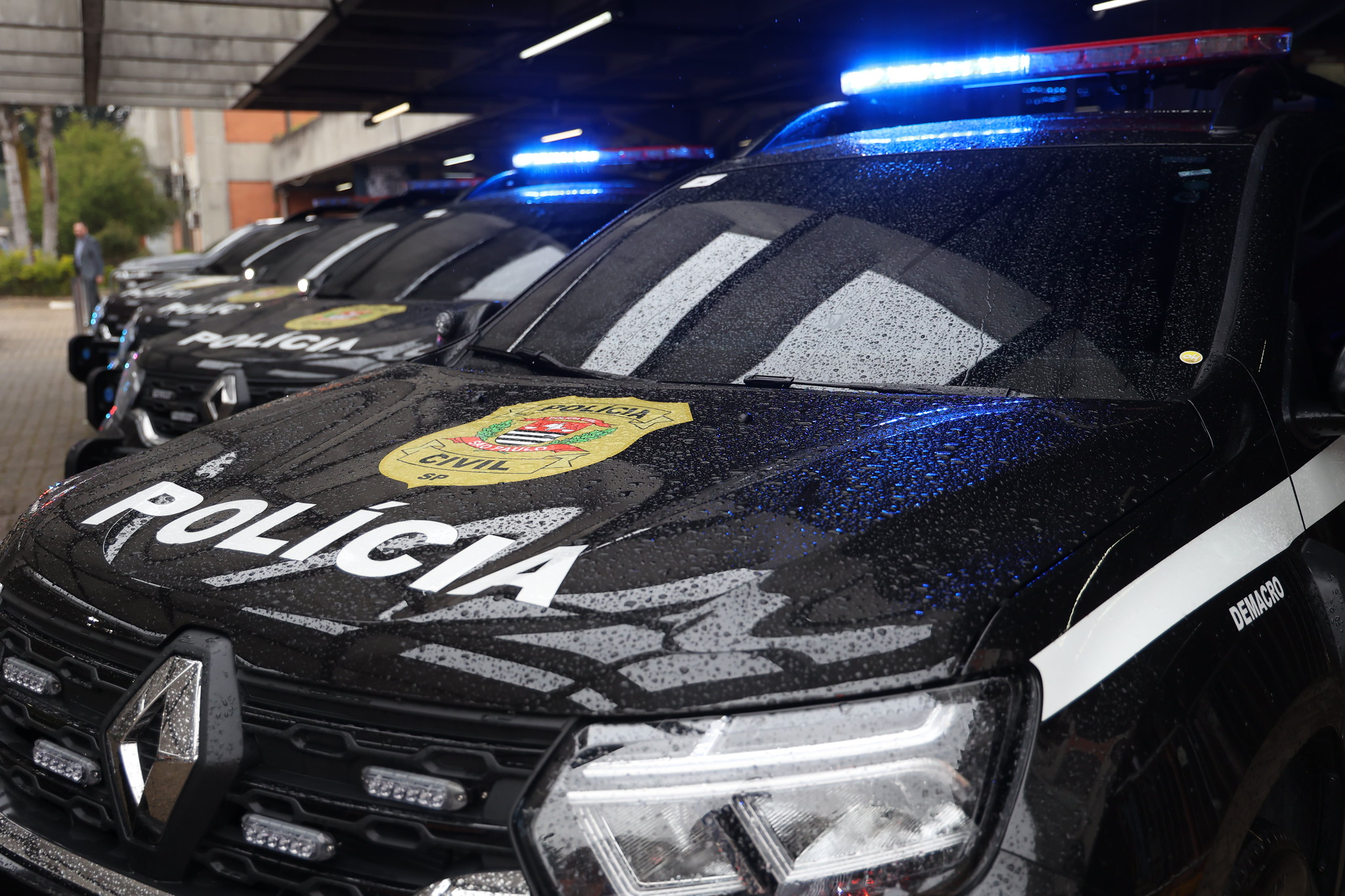 Operação Vérnix